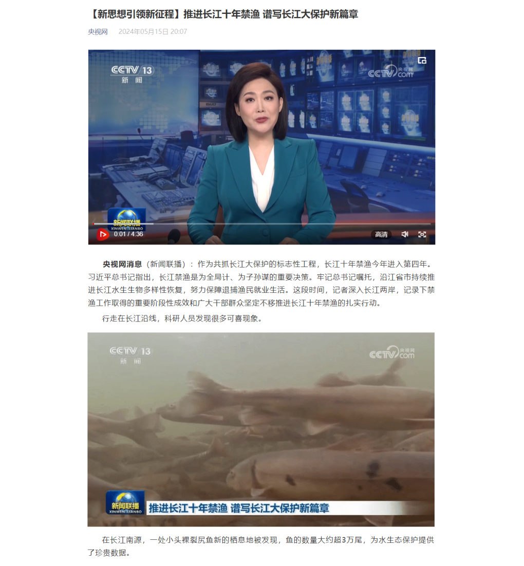 央视新闻案例效果