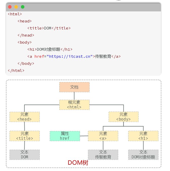 代码与 DOM 树的对应关系