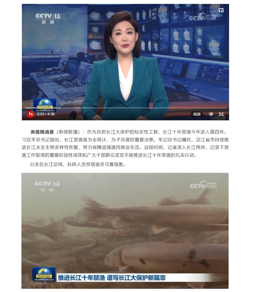 正文段落样式效果