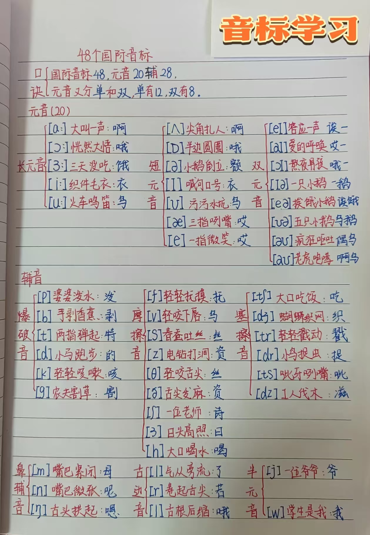 文章配图：48个音标